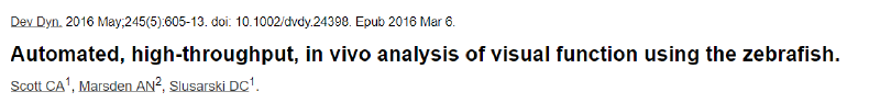 Submitted Paper